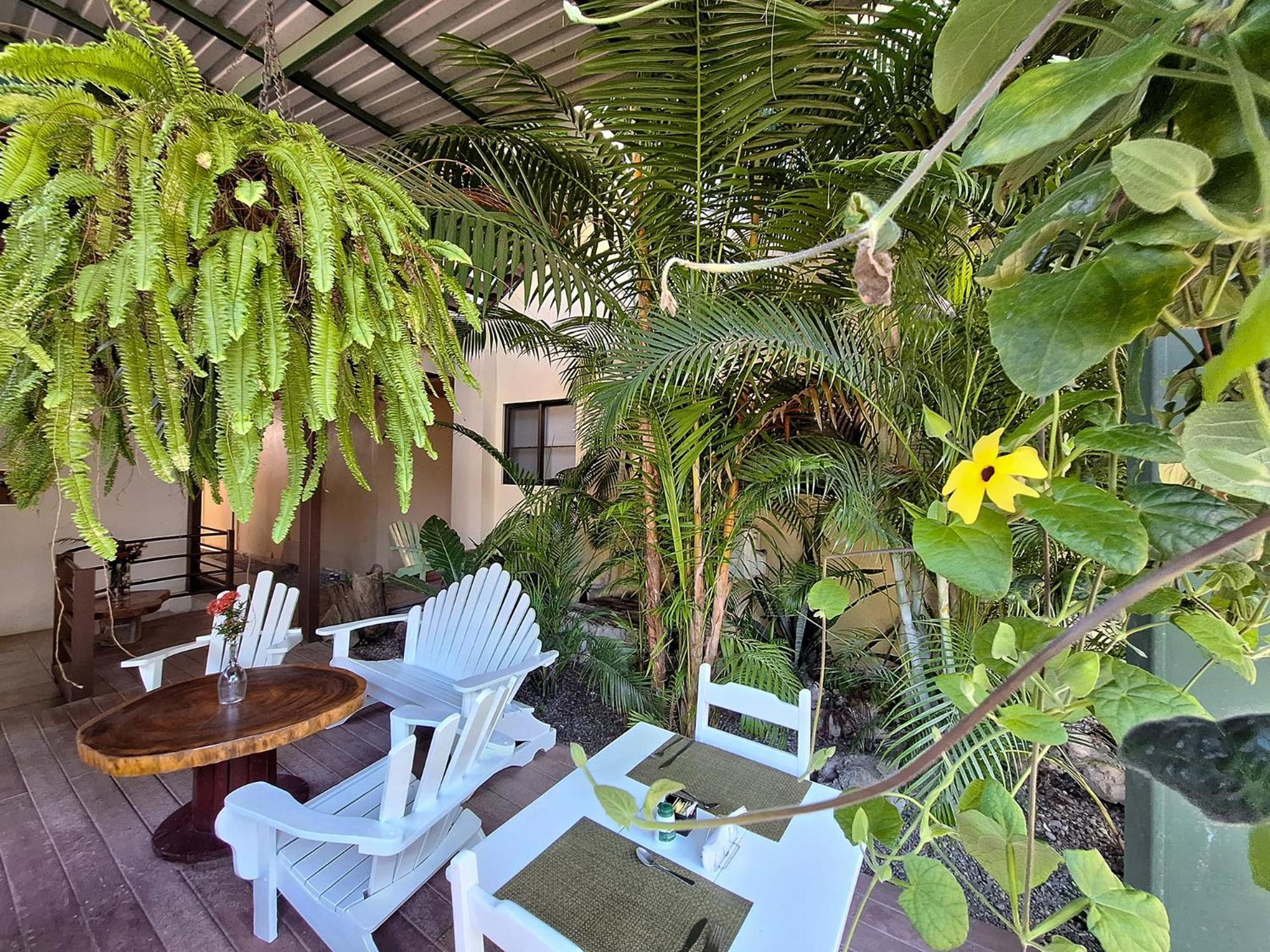 Infiniti Hotel Puerto Viejo de Talamanca Exteriér fotografie